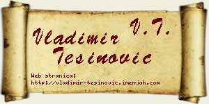 Vladimir Tešinović vizit kartica